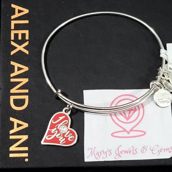 Alex and Ani Because I love you charm bracelet color infusion in shiny silver NW - Picture 1 of 5